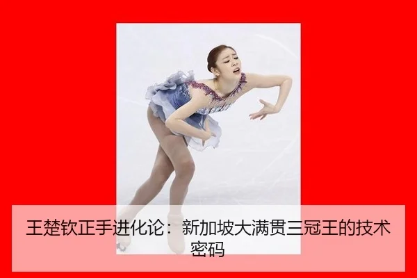 wang-chu-qin-zheng-shou-jin-hua-lun-xin-jia-po-da-man-guan-san-guan-wang-de-ji-shu-mi-ma-2-865.jpg