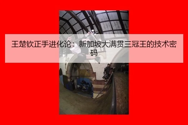 wang-chu-qin-zheng-shou-jin-hua-lun-xin-jia-po-da-man-guan-san-guan-wang-de-ji-shu-mi-ma-3-300.jpg